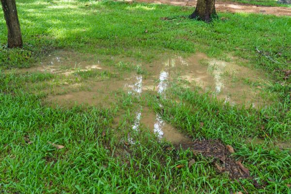 Cost of Storm Water Drainage Service in Bend