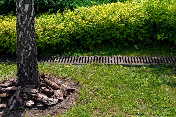 Cost of Wet Yard Drainage in Bend