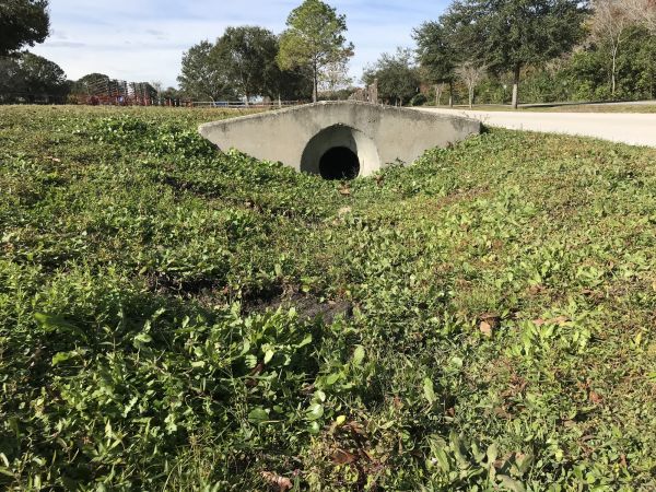 Cost of Swale Drainage Service in Bend